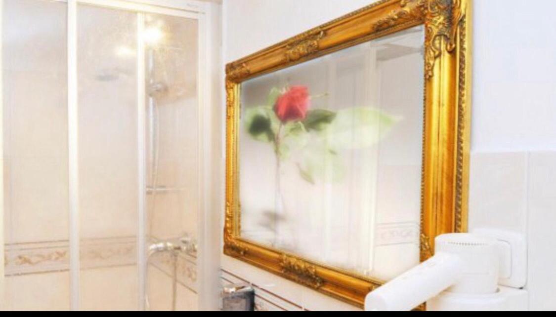 Pension Artstetten エクステリア 写真